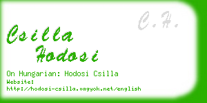 csilla hodosi business card